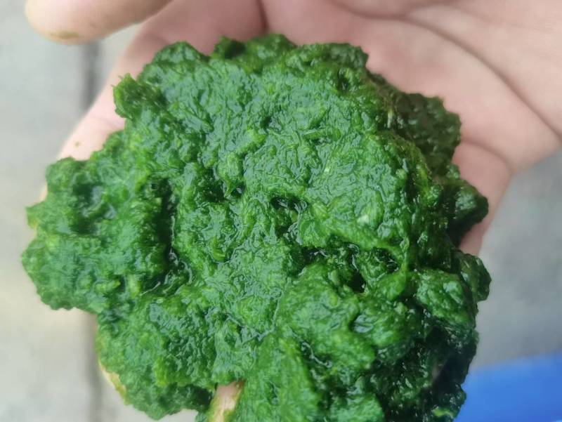 韭花酱，欢迎各大电商，线下，