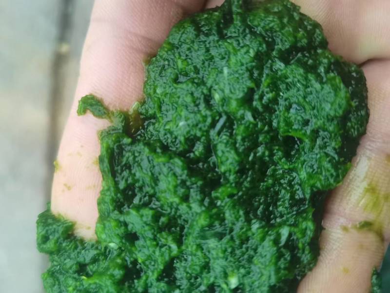 韭花酱，欢迎各大电商，线下，