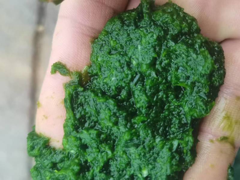 韭花酱，欢迎各大电商，线下，