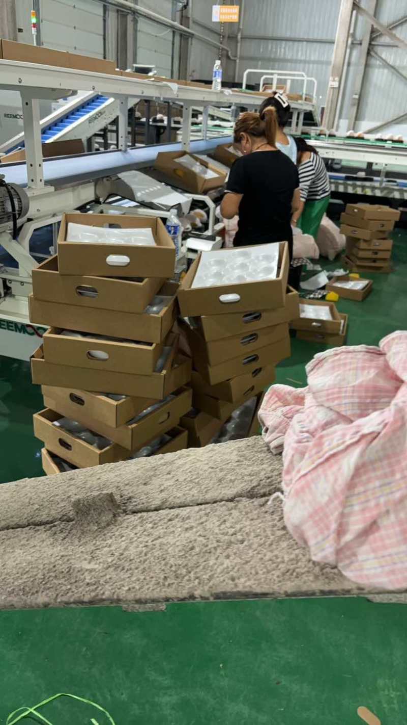 秋月梨七两起布.1.8元一斤