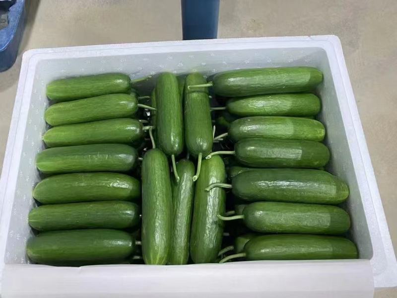 18斤泡沫箱装