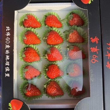 丹东九九草莓