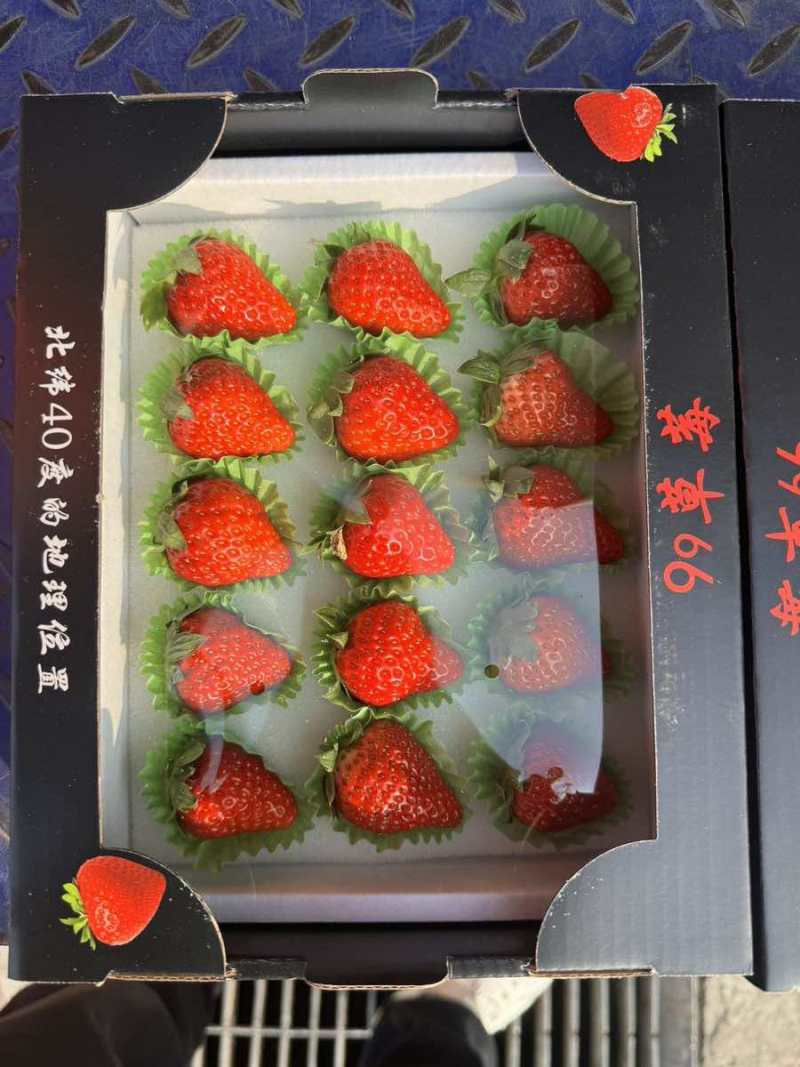 丹东九九草莓