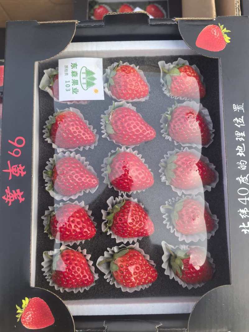 丹东九九草莓
