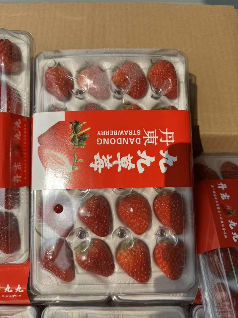 丹东九九草莓