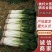 山东大葱铁杆大葱2024年现挖现发