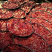 鲜牛肉