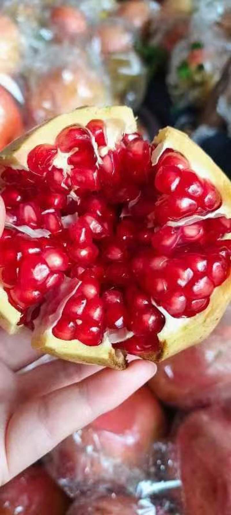 临潼硬籽石榴