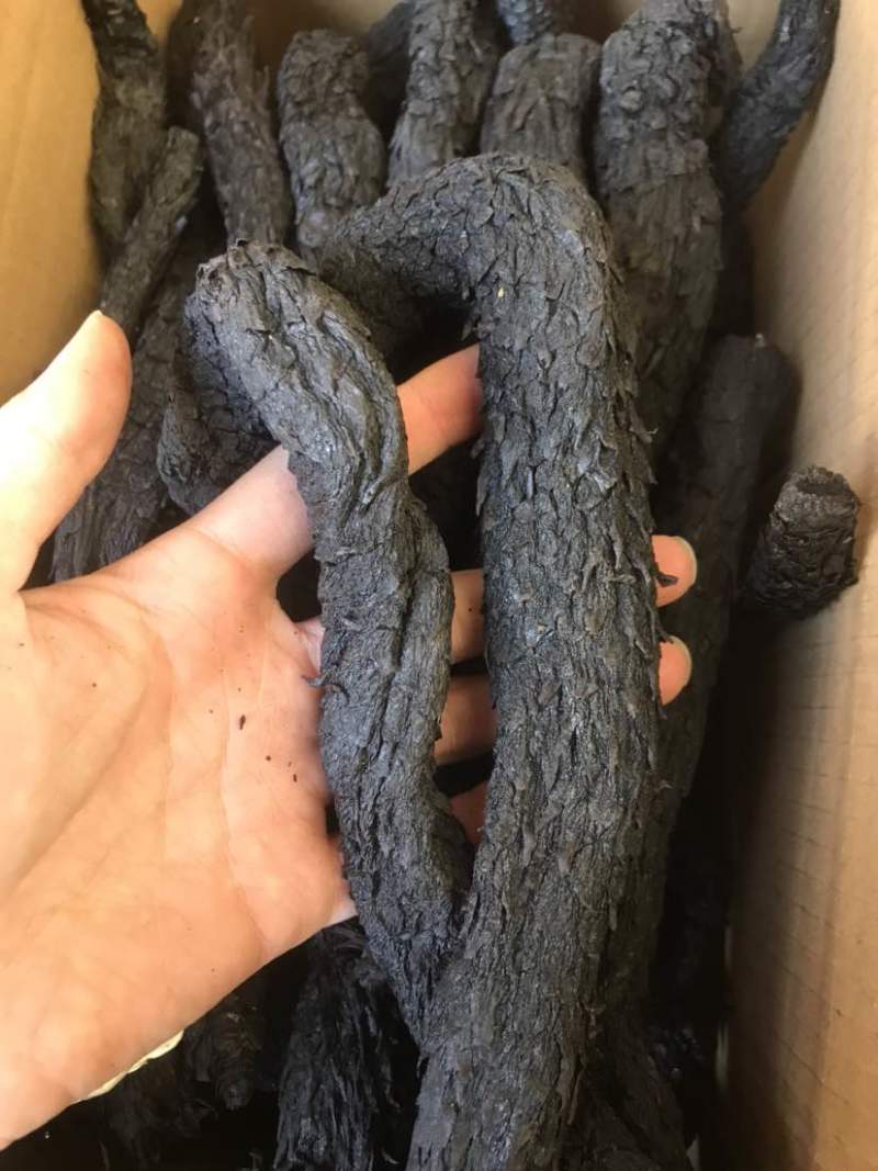 肉苁蓉大云新疆货大货批发一手货源量大从优欢迎选购