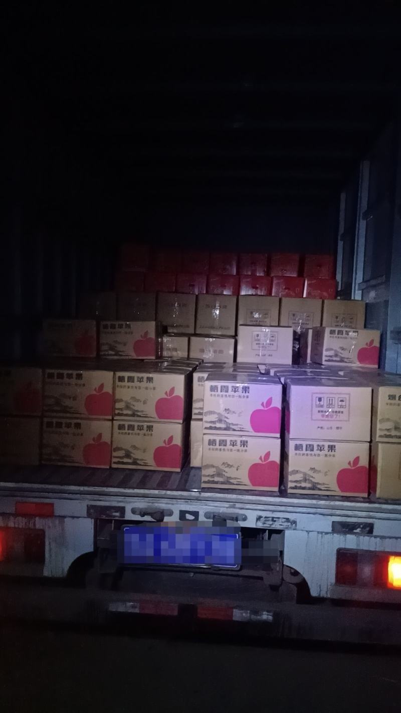 烟台栖霞条纹红富士苹果