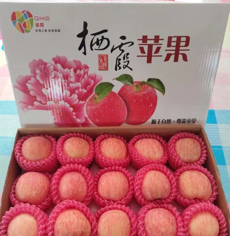 烟台栖霞条纹红富士苹果