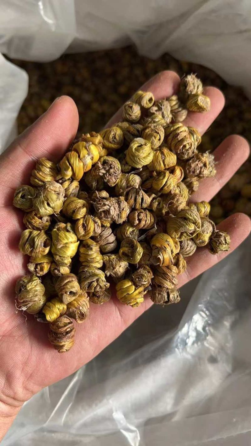 铁皮石斛干条枫斗紫皮石斛全化渣胶质好量大从优