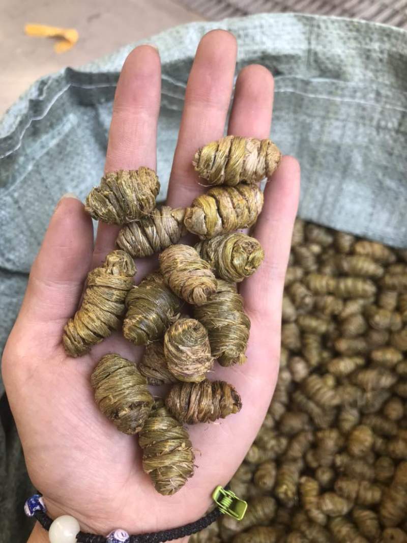 铁皮石斛干条枫斗紫皮石斛全化渣胶质好量大从优