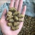 铁皮石斛干条枫斗紫皮石斛全化渣胶质好量大从优