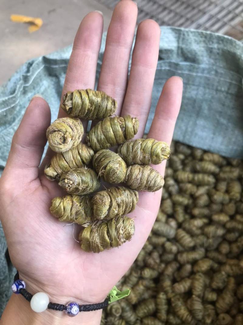 铁皮石斛干条枫斗紫皮石斛全化渣胶质好量大从优