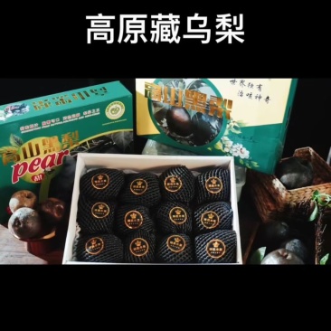 西藏黑梨高原藏乌梨大量现货