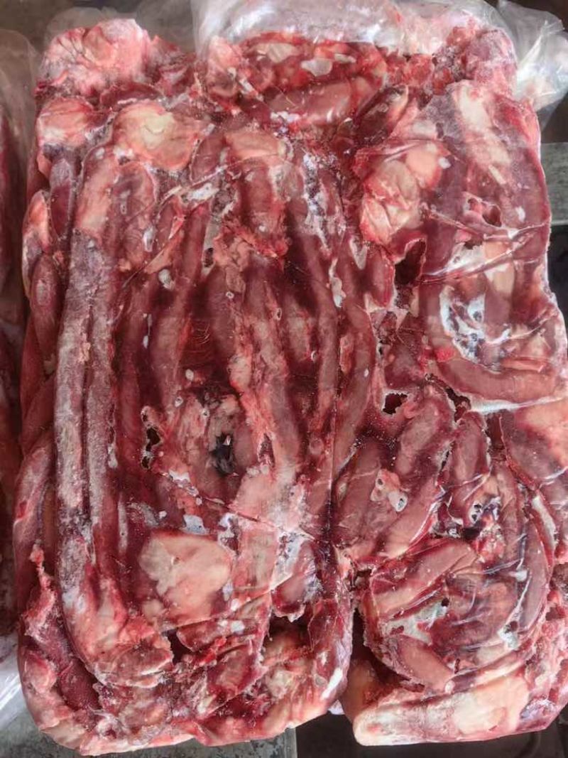 猪红肠猪食管