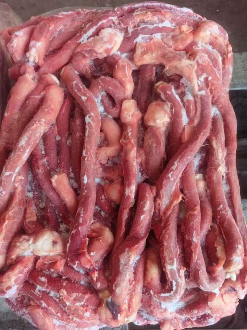 猪红肠猪食管