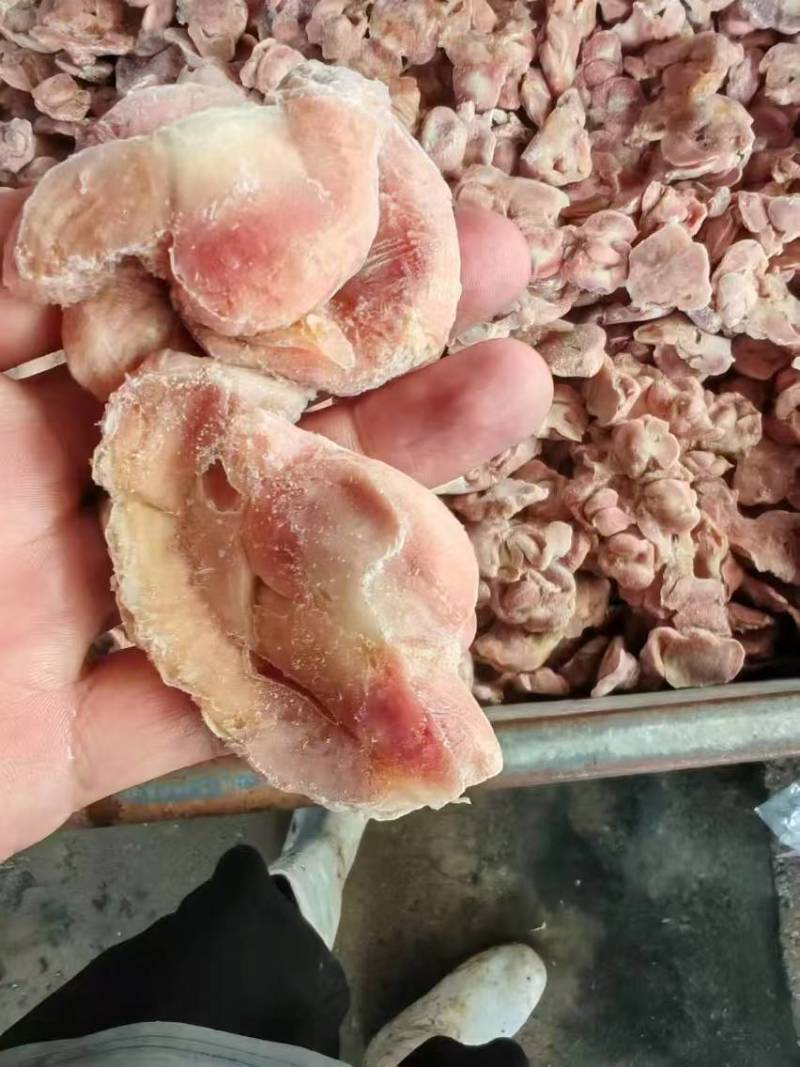 鸡胗10吨