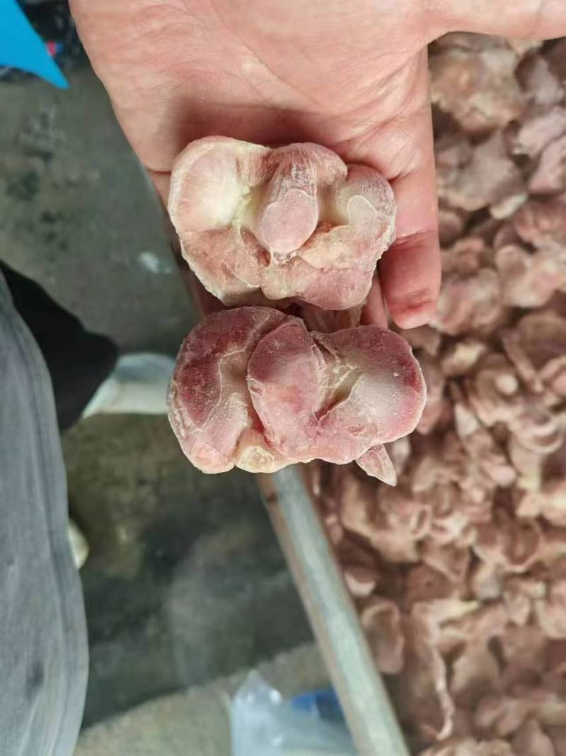 鸡胗10吨