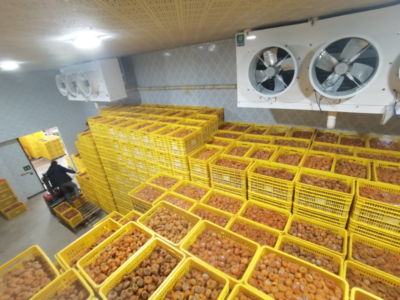 大量柿饼有货