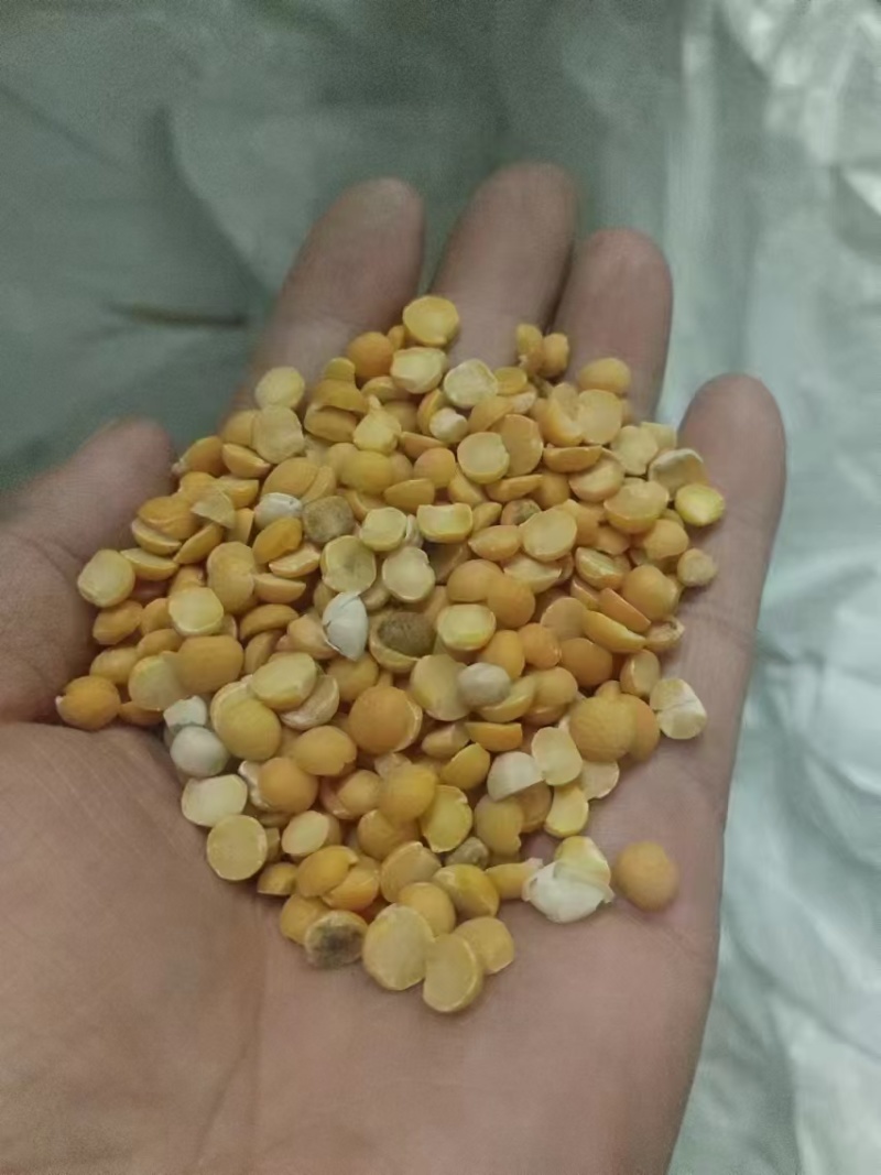 碎黄豆