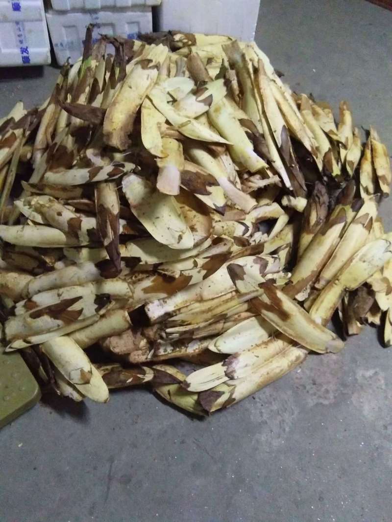 棕包野生统货