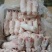 品名，调理小猪蹄数量。6吨规格，30一40个，日期，