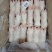 品名，调理小猪蹄数量。6吨规格，30一40个，日期，