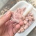 排骨粒