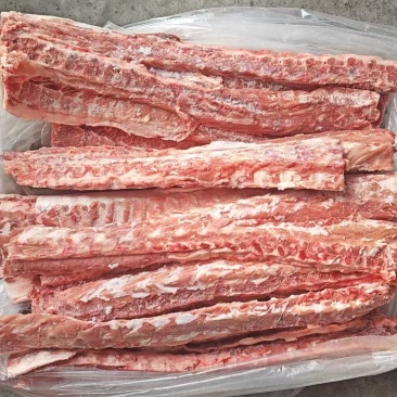 126背骨