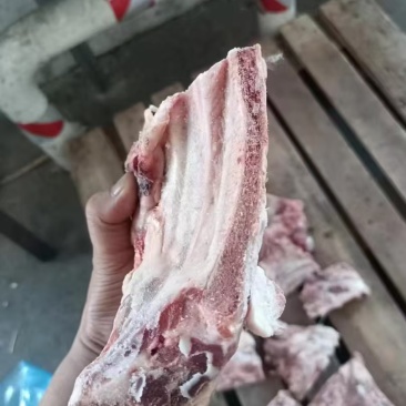 391厂12厂小排
