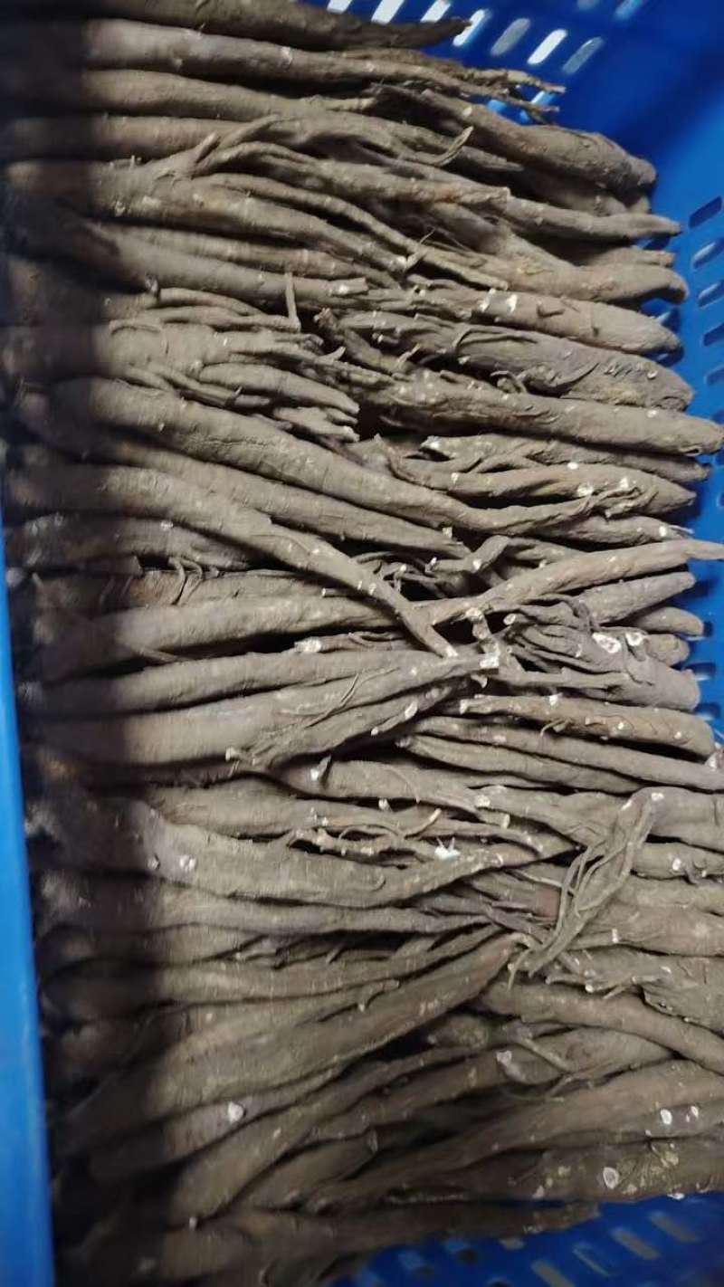 电商代发高山甜当归干货现发日发20000单