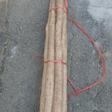 小白嘴紫药佛手山药