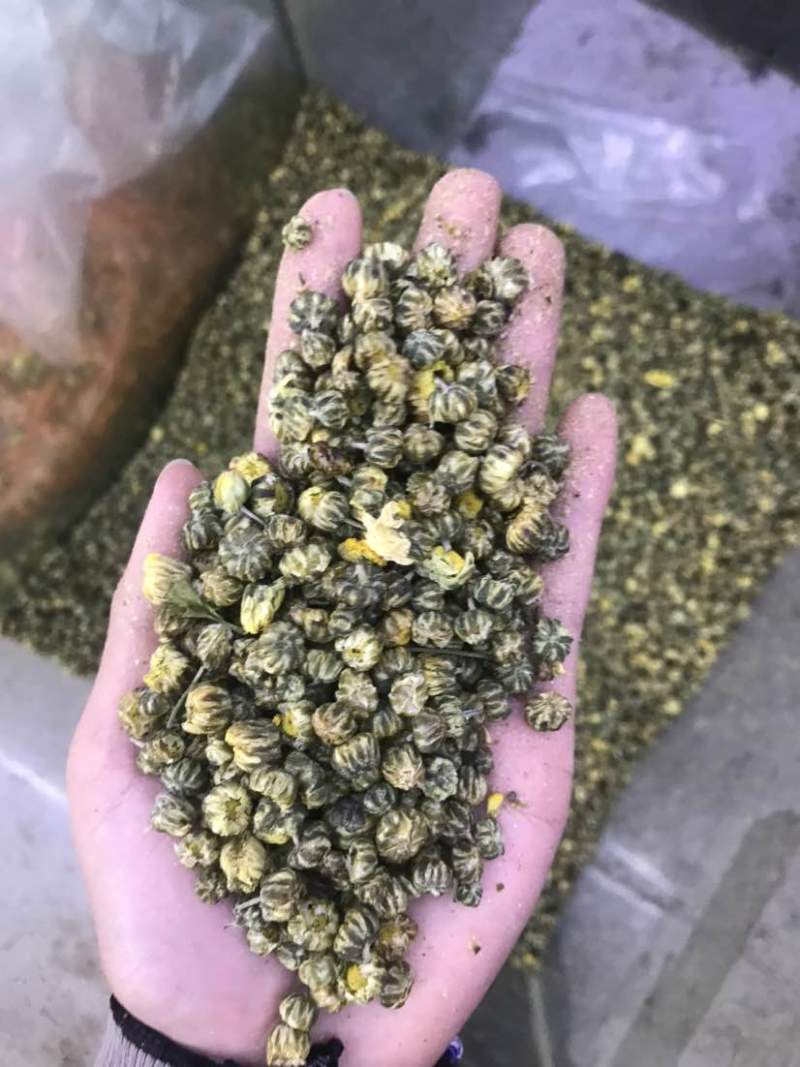 菊花茶胎菊胎菊米北京菊苏北菊香菊产地直发一手货