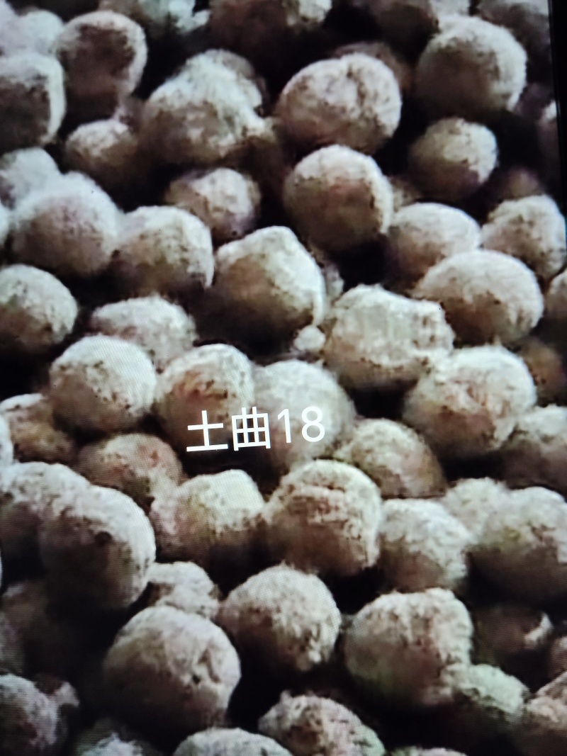 贵州中草药土酒曲