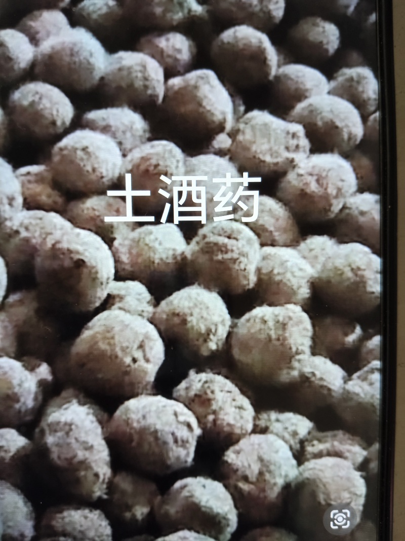 贵州中草药土酒曲