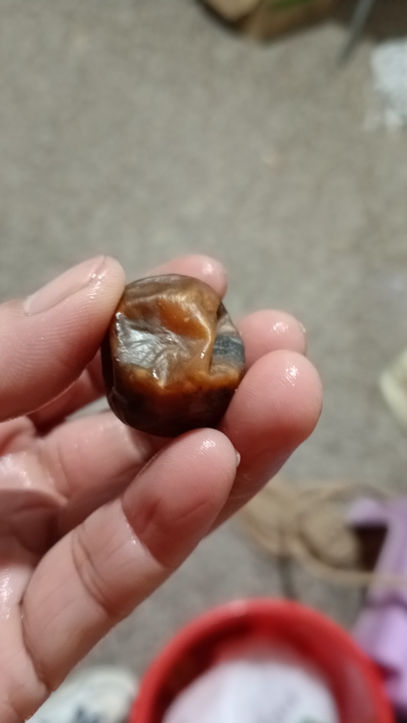 鸭宝出售