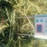 优质燕麦草，无霉变，大捆290公斤一捆，需要联系
