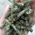 优质一等花生秧颗粒