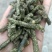 优质一等花生秧颗粒