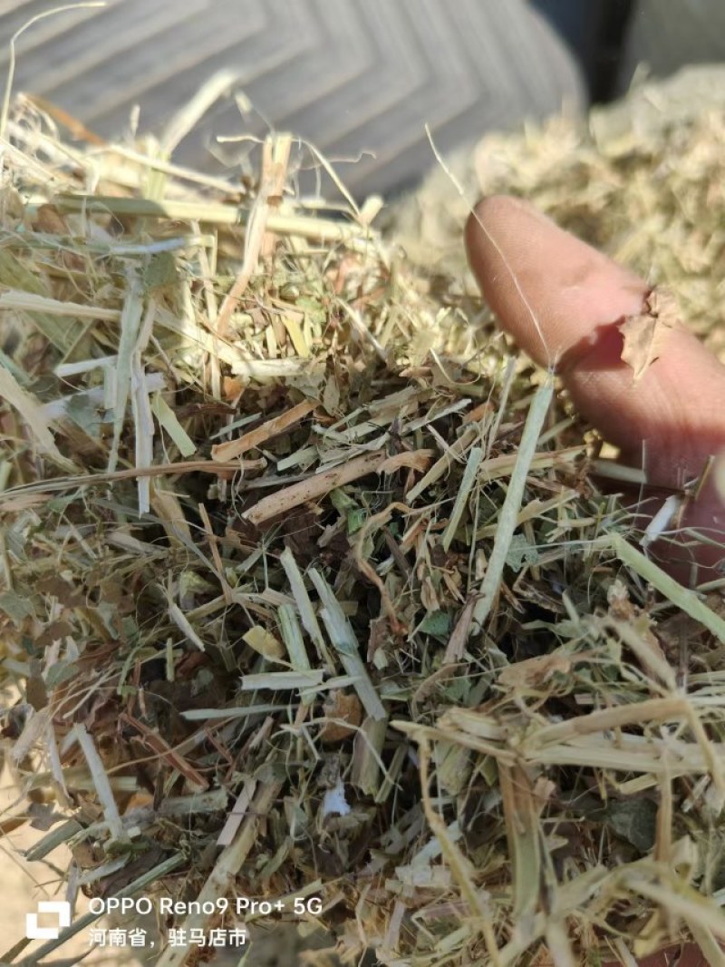 优质一等花生秧，需要联系