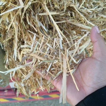 小麦秸秆