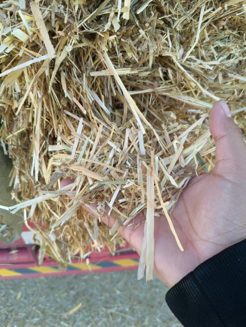 小麦秸秆