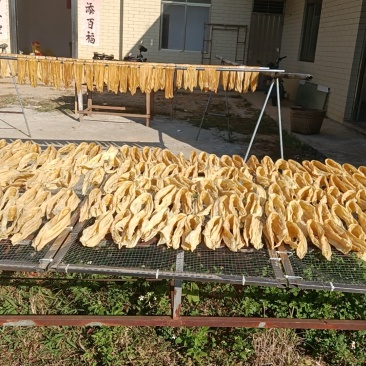传承千年的手工客家腐竹