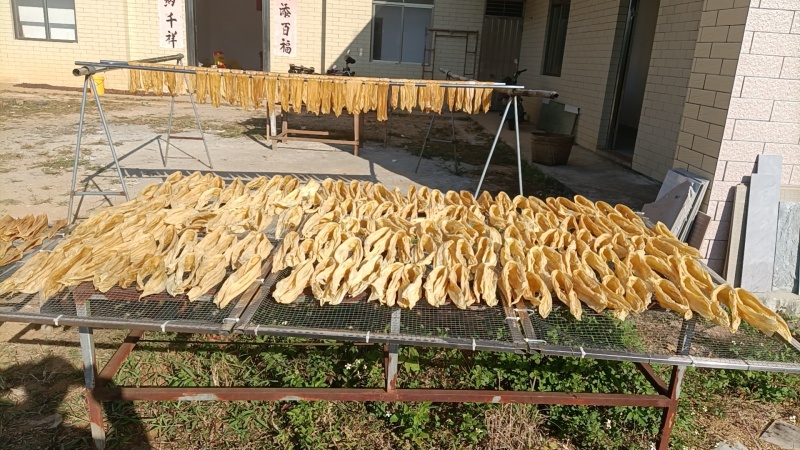 传承千年的手工客家腐竹