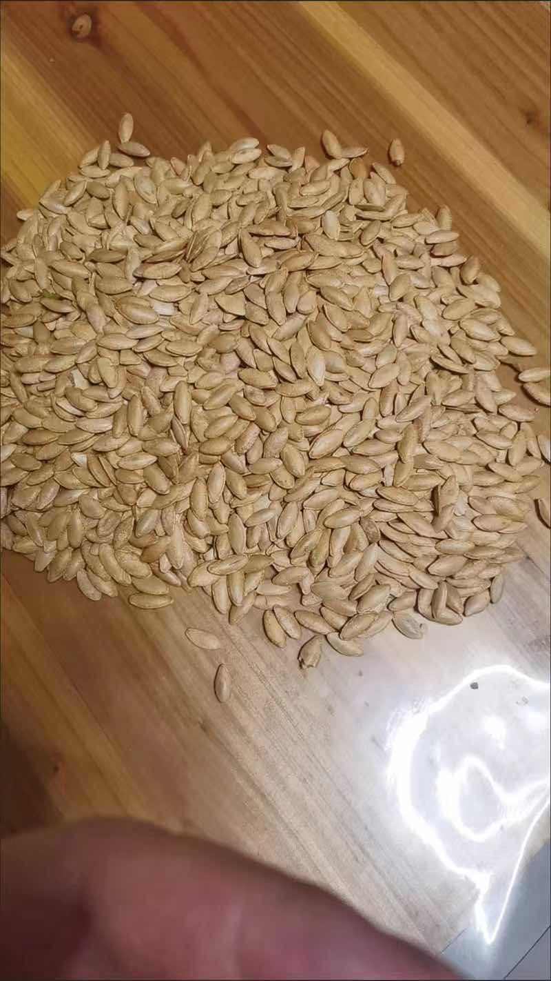 新疆美人甲南瓜子，椒盐味南瓜子，批发代发，电商平台有量有价