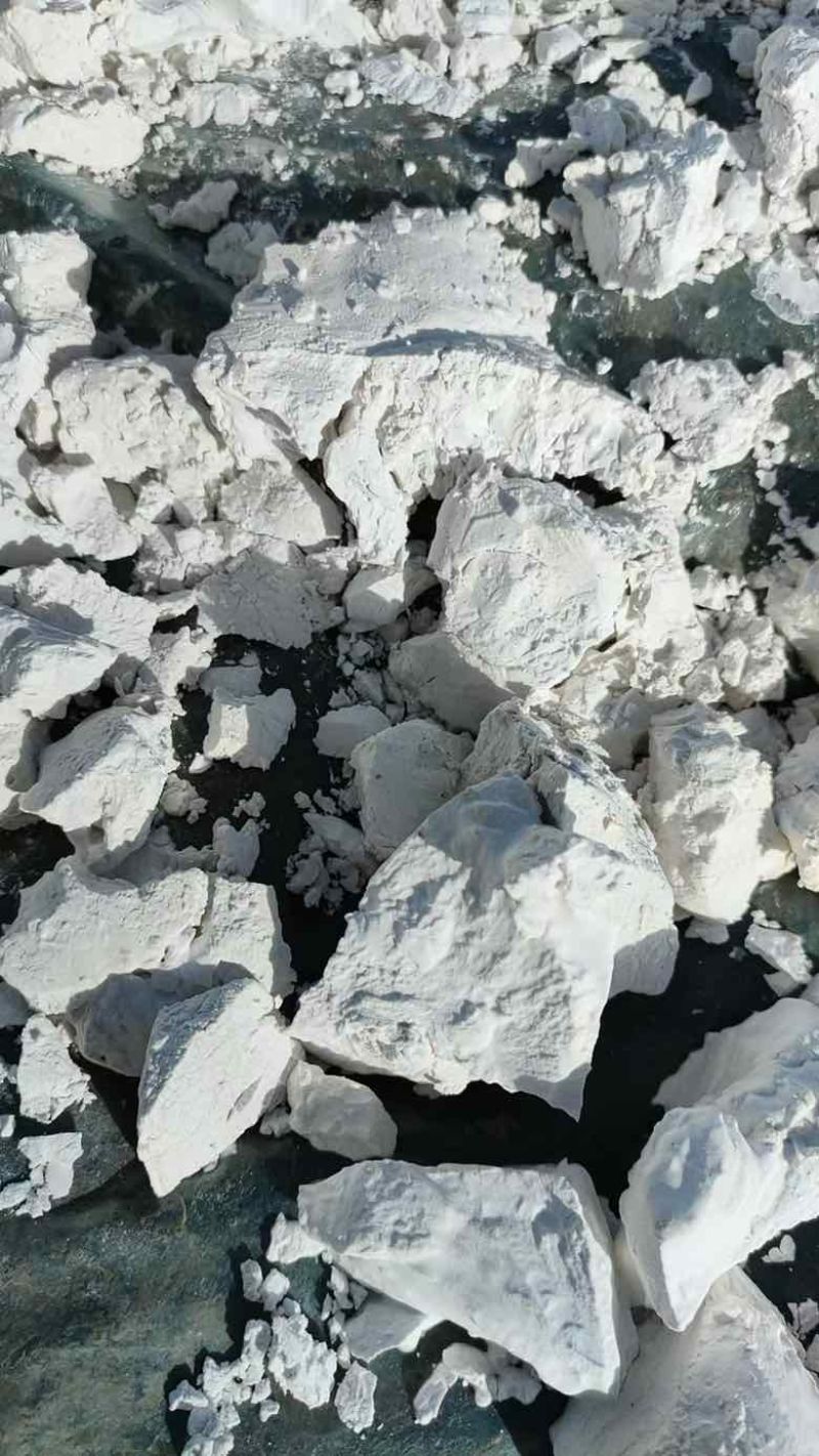 红薯粉、粉丝