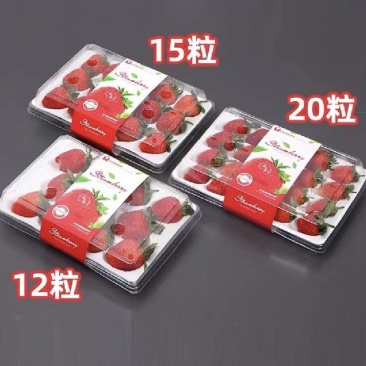 丹东九九草莓，对接全国批发商，代收