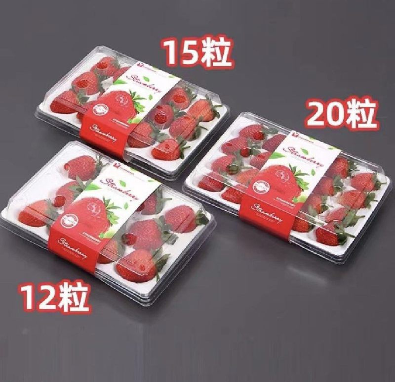丹东九九草莓，对接全国批发商，代收